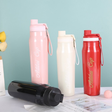 700 ml vacuum bottle with 304 s/s inner, 201 s/s outer with powder coating, different kinds of lid available.